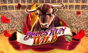 Wild Bulls Team Logo